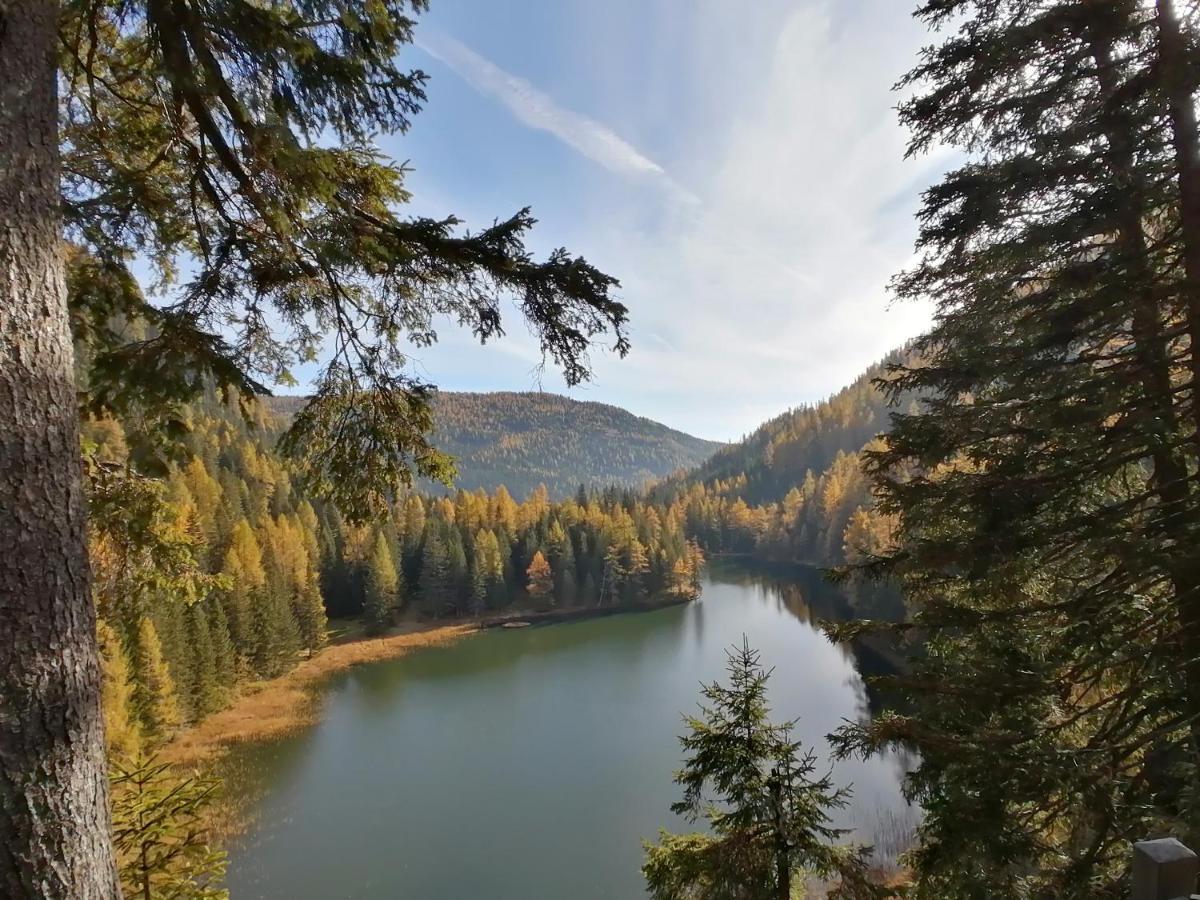 Almhaus Kaernten Flattnitz Экстерьер фото