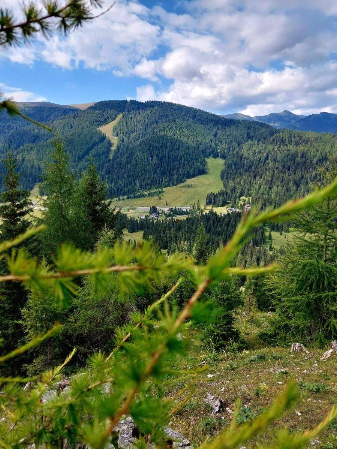 Almhaus Kaernten Flattnitz Экстерьер фото